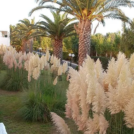 Hotel Smy Kos & Splash 4*